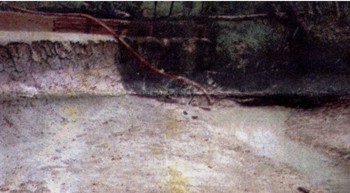 Figura 2 – Riachão praticamente seco: bombas retiram, impiedosamente, a água.