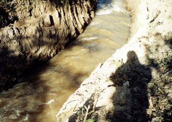 Figura 6- Trecho do ribeiro do Carmo em um canal lateral com declividade acentuada e reduo de aproximadamente um tero de sua seo natural.