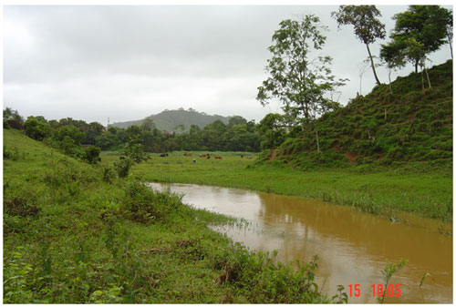 Figura 5 - Foto da seão fluvial selecionada (no 8)