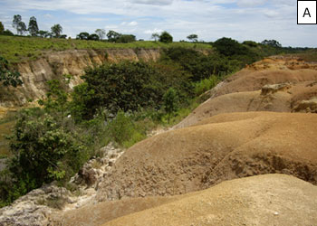 Figura 15 -  Trecho do canal de transposio no divisor de gua das duas bacias: A – Seo fluvial; B- Parede lateral do canal