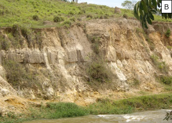 Figura 15 -  Trecho do canal de transposio no divisor de gua das duas bacias: A – Seo fluvial; B- Parede lateral do canal