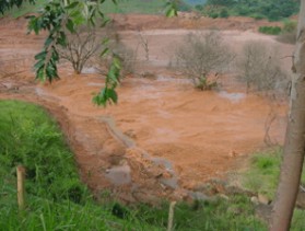 Figura 2- Parte do rejeito que ainda restou na rea de conteno do barramento.