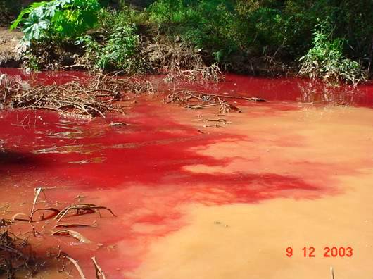 Figura 5 - Contaminao das guas do rio Paranaba pelos resduos do Matadouro Municipal