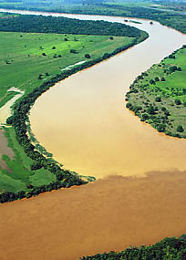 Figura 5 - Foz do rio das Velhas. Encontro das guas  impactadas do rio das Velhas, com as guas do  rio So Francisco, em Minas Gerais.